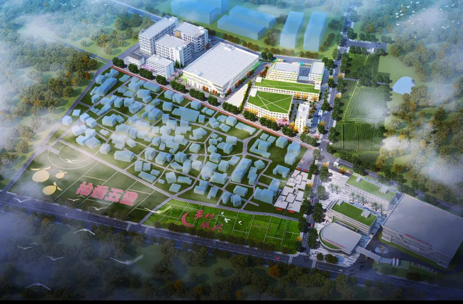 奮戰四季度南昌市政建設全力以赴搶抓項目建設進度
